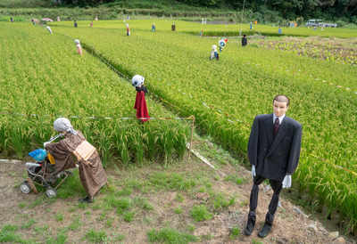 Топ 2018 агентства Magnum