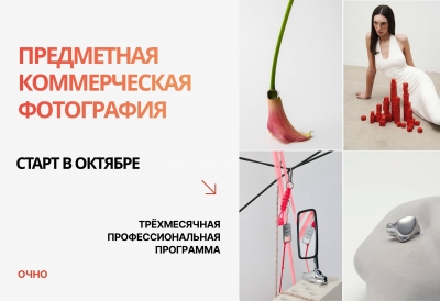 Профессиональная трёхмесячная программа