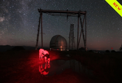 Основы документальной фотографии