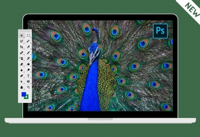 Adobe Photoshop. Однодневный интенсив