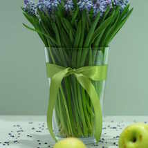 © Татьяна Тынянова. Онлайн-курс Основы фотографии