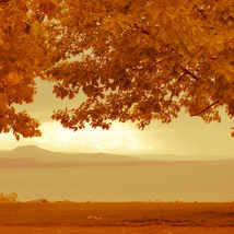 © Виктория Мемус. Онлайн-курс Обработка фотографий в Lightroom