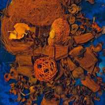 © Ольга Савина