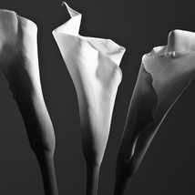 Курс "Натюрморт". Преподаватель Андрей Рогозин