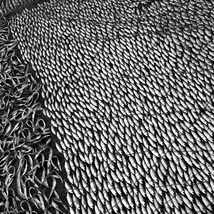 © Сергей Кожушко. Мастер-класс Сергея Максимишина