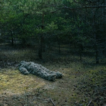 © Юлия Власова