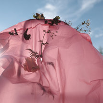 © Евгения Коркунова