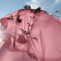 © Евгения Коркунова, онлайн-курс "Better Photo"