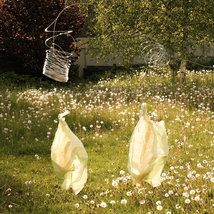 © Евгения Коркунова