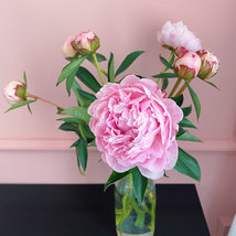 ©Лиля Иванова