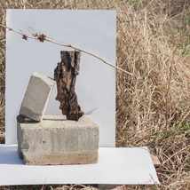 Курс "Основы фотографии"