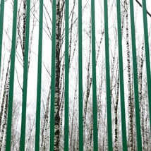 © Рита Григорьева. Основы Фотографии