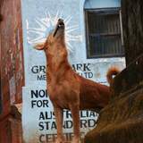 © Валерий Кламм