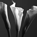 Курс "Натюрморт". Преподаватель Андрей Рогозин