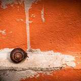 Автор: Денис Кораблев