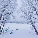 Автор: Борис Лазарев