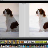 Автор: Елена Федулова