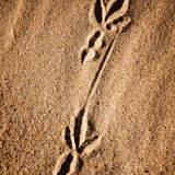 Автор: Денис Кораблев