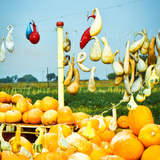 Автор: Оксана Циркина