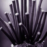 Автор: Анна Турусина