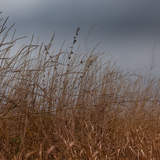 Автор: Денис Кораблев