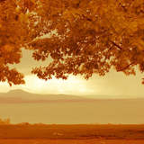 Автор: Виктория Мемус