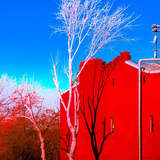 Автор: Виктория Мемус