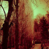 Автор: Виктория Мемус