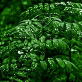 Автор: Татьяна Мишнева