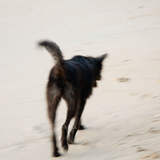 Автор: Екатерина Бельмас