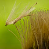 Автор: Василий Загладин