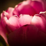 Автор: Кристина Глазкова