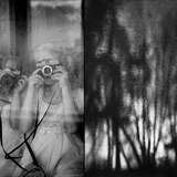 © Ольга Фельдман. Преподаватель: Влада Красильникова