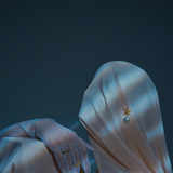 © Анна Кузьмина