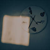 © Каверина Светлана