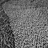 © Сергей Кожушко. Мастер-класс Сергея Максимишина