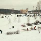 © Елена Большакова