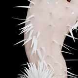 Фото © Люба Козорезова