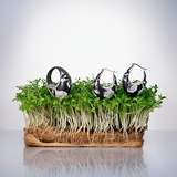 © Мария Макарова