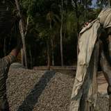 © Юлия Новова