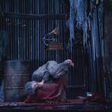 © Ася Скорик. "Основы фотографии. Продолжение"