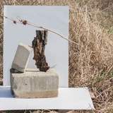 Курс "Основы фотографии"