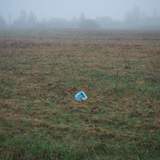 Курс "Основы фотографии"