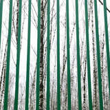 © Рита Григорьева. Основы Фотографии