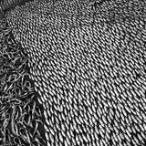 © Сергей Кожушко