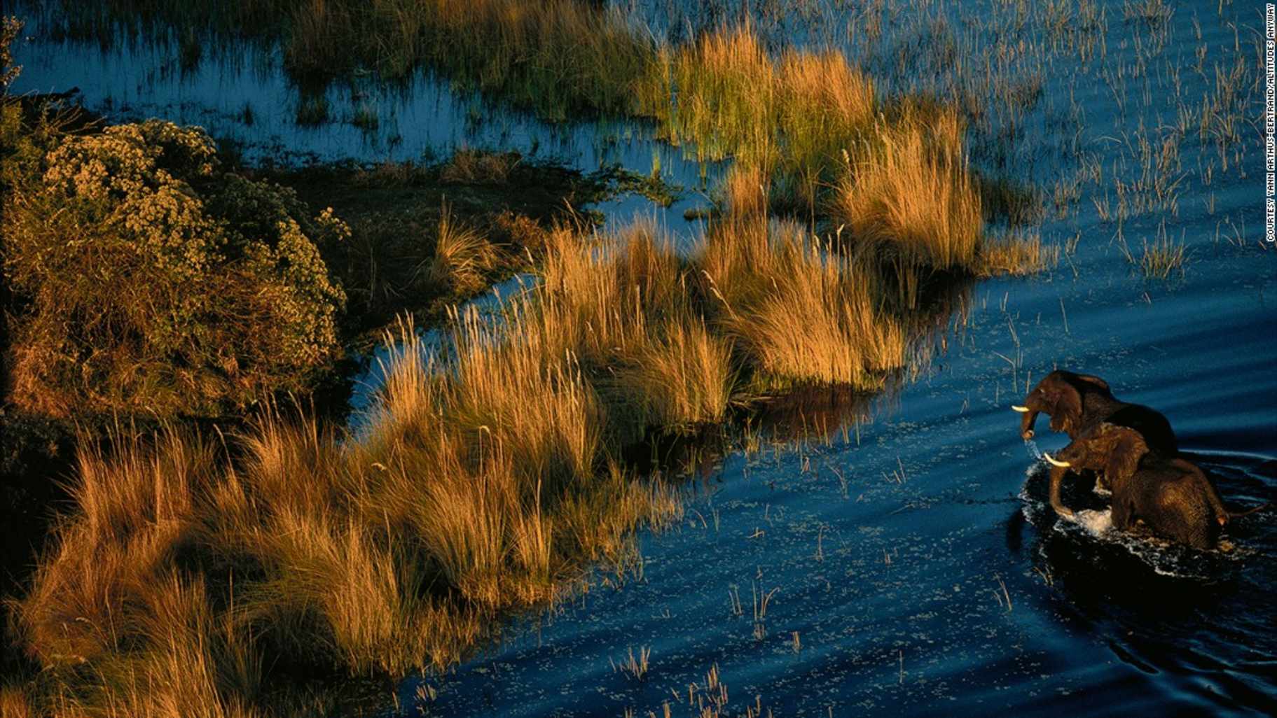 © Yann Arthus-Bertrand