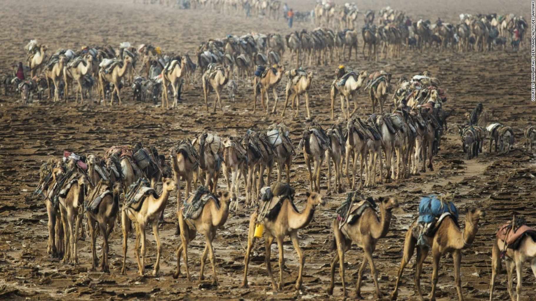 © Yann Arthus-Bertrand