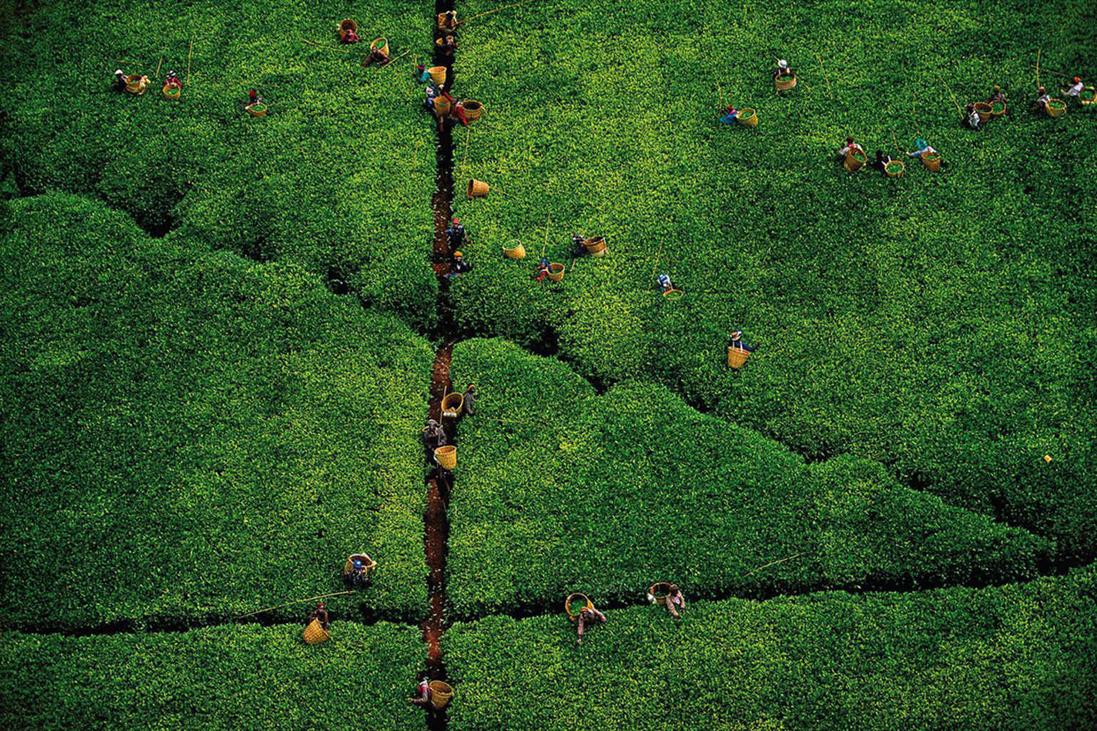 © Yann Arthus-Bertrand