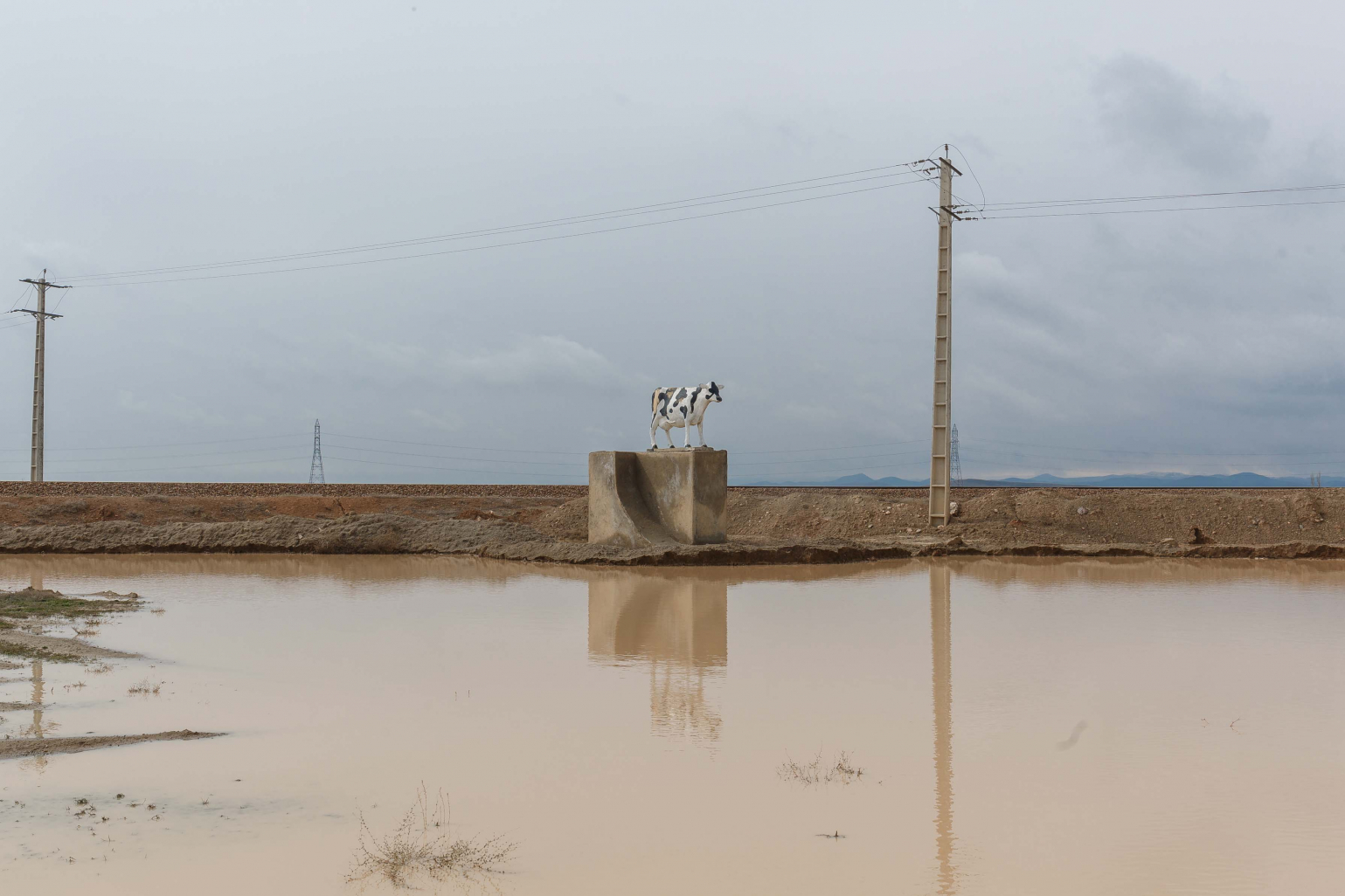 Silent Neighborhoods by Majid Hojjati