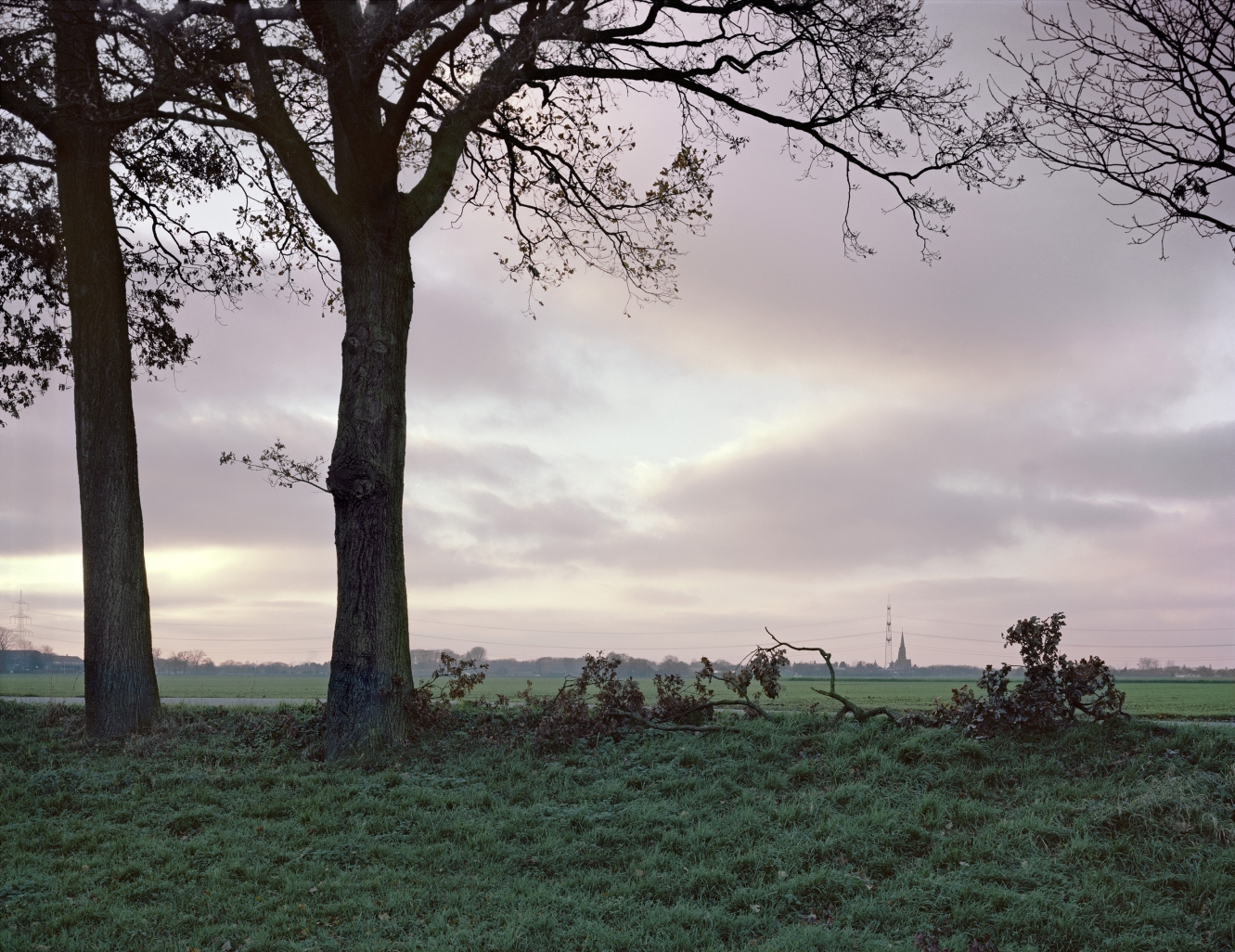 © Simone Nieweg